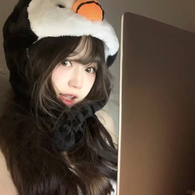 谍网纵横